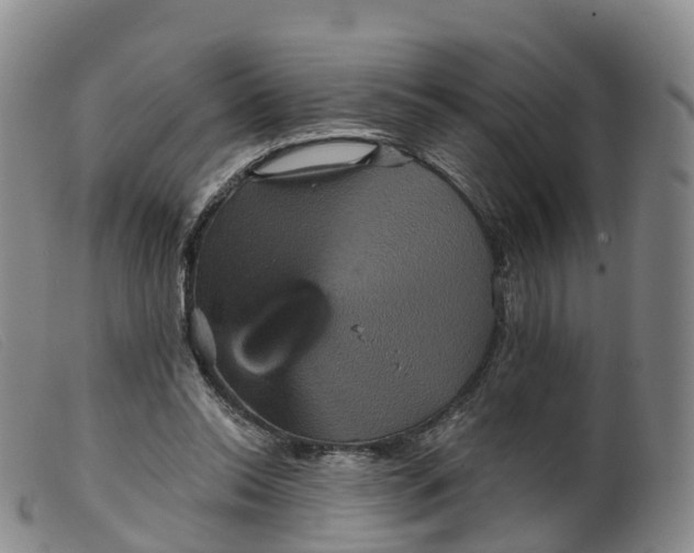 X0000099380350200805221811