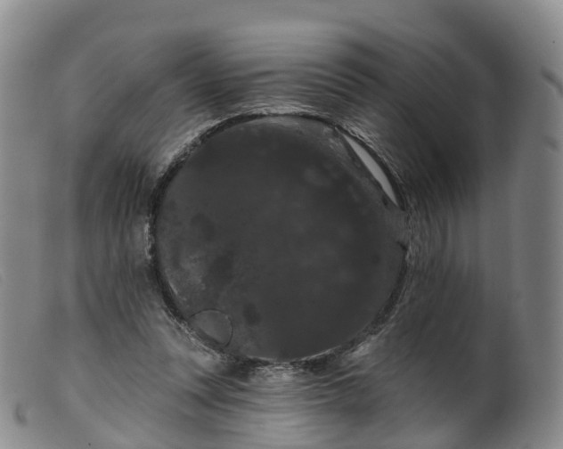 X0000099380351200805221811