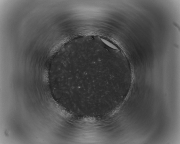 X0000099380353200805221811