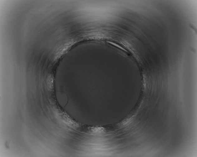 X0000099380355200805221811