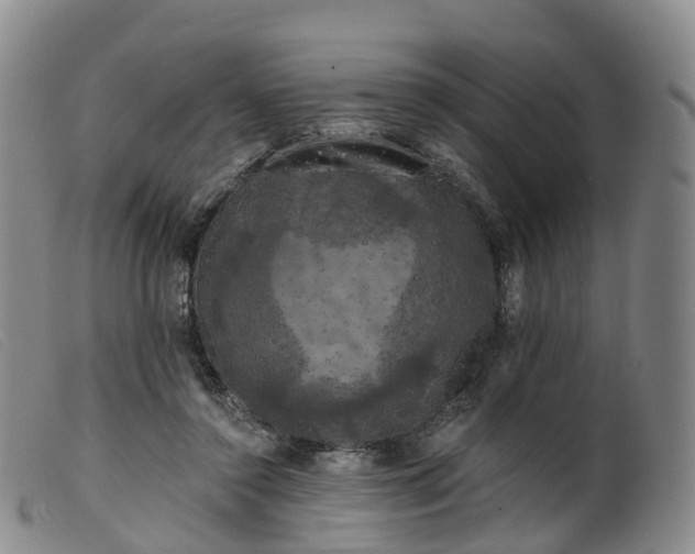 X0000099380356200805221811