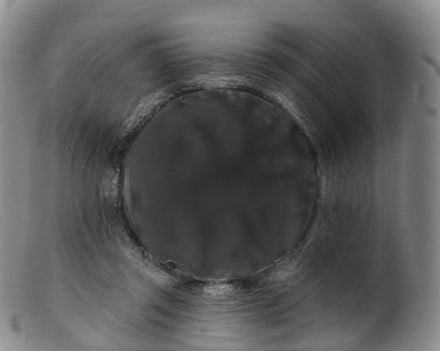 X0000099380357200805221812