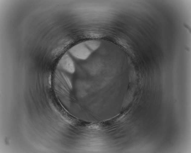 X0000099380358200805221812