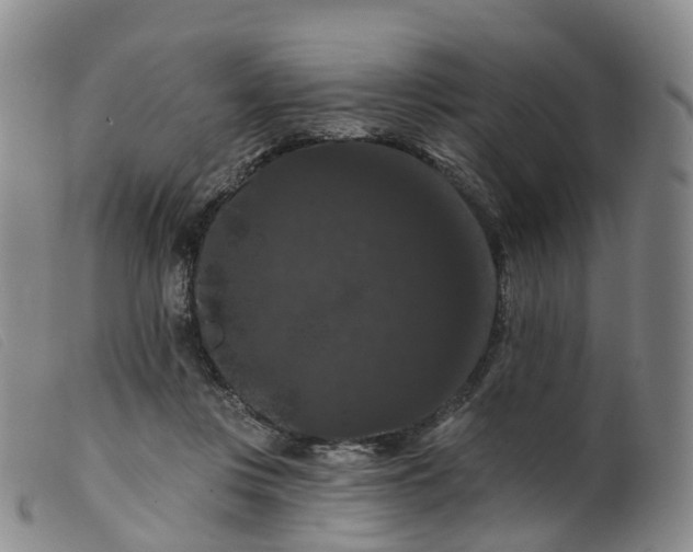 X0000099380359200805221812