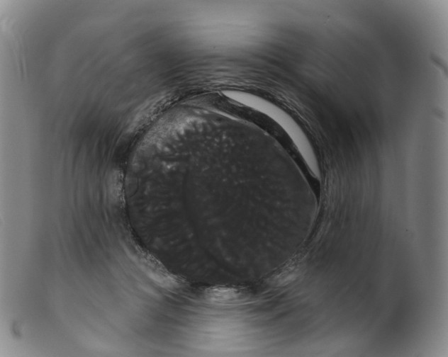 X0000099380361200805221812