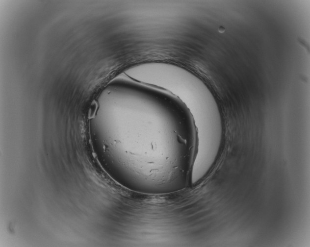 X0000099380362200805221812