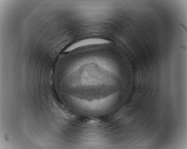 X0000099380364200805221812