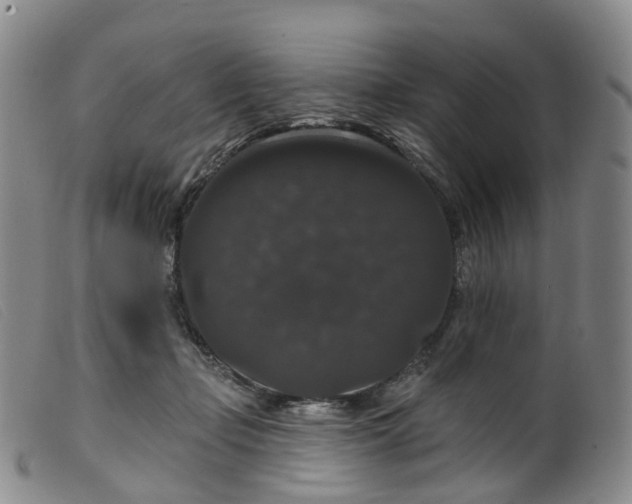 X0000099380365200805221812