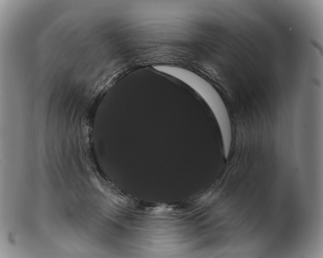 X0000099380366200805221812