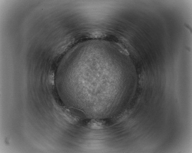 X0000099380368200805221812