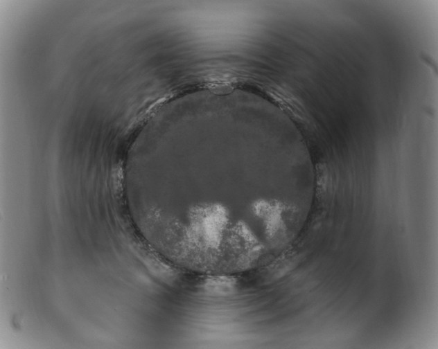 X0000099380369200805221812