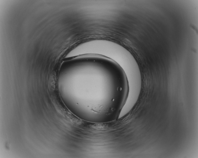 X0000099380370200805221812