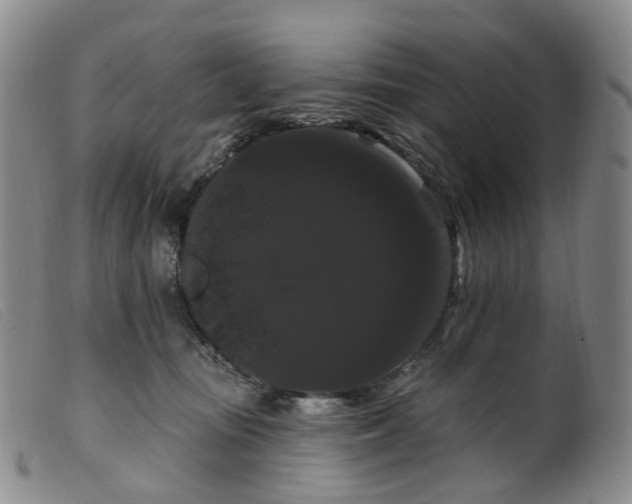 X0000099380371200805221812