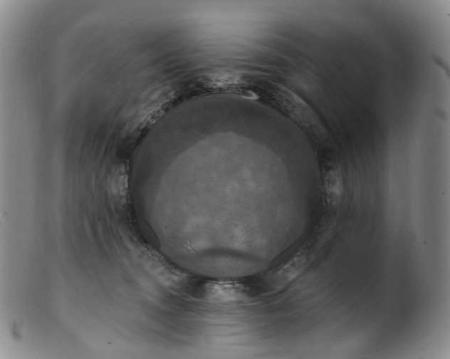 X0000099380372200805221812