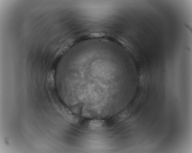 X0000099380373200805221812