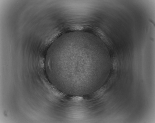 X0000099380374200805221812