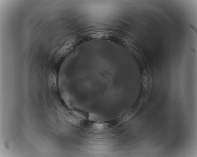 X0000099380375200805221812