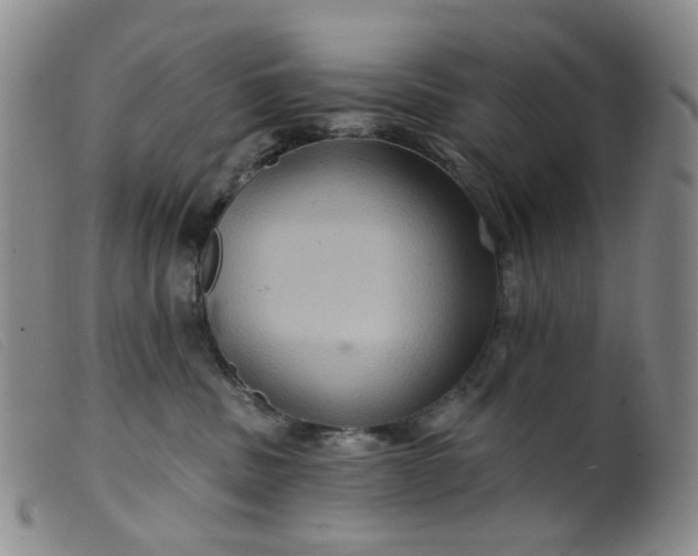 X0000099380379200805221812