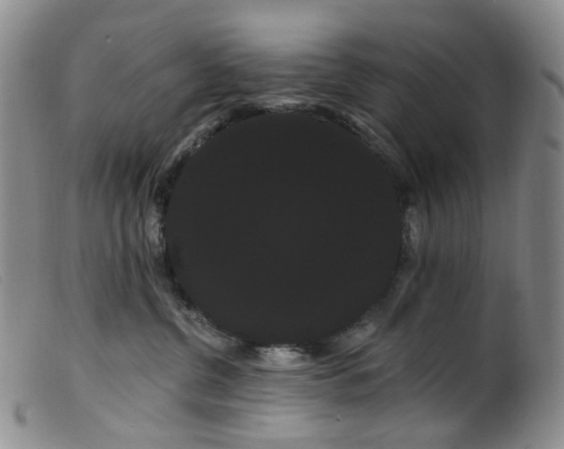 X0000099380380200805221812