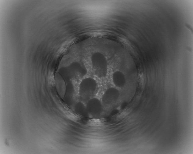 X0000099380381200805221812