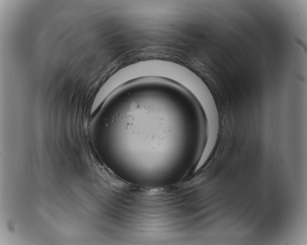 X0000099380382200805221812