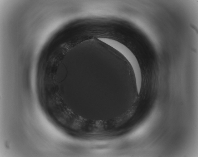 X0000099380383200805221812