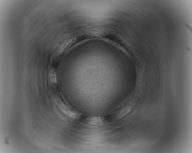 X0000099380384200805221812