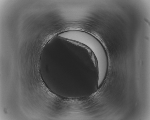 X0000099380385200805221811