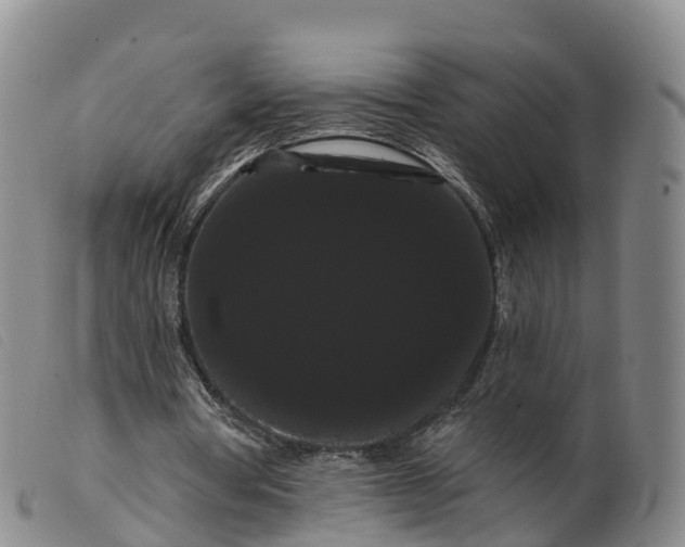 X0000099380386200805221811