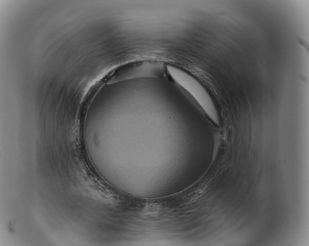 X0000099380388200805221811