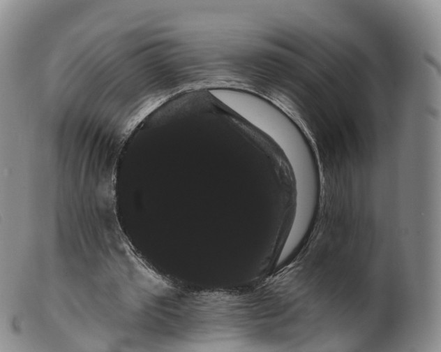 X0000099380389200805221811