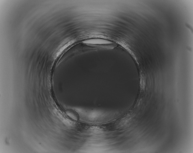 X0000099380390200805221811