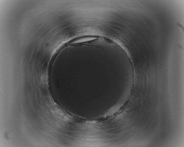 X0000099380391200805221811