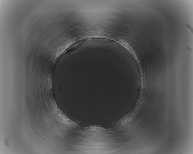 X0000099380393200805221811