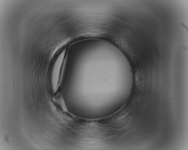 X0000099380396200805221811