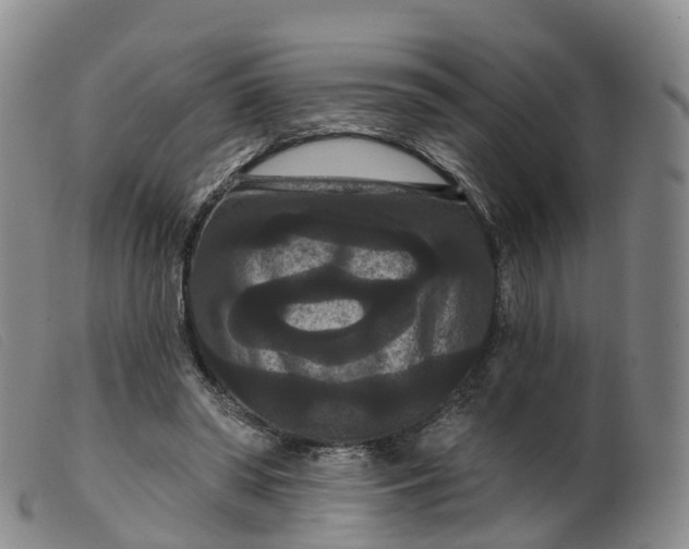 X0000099380398200805221811