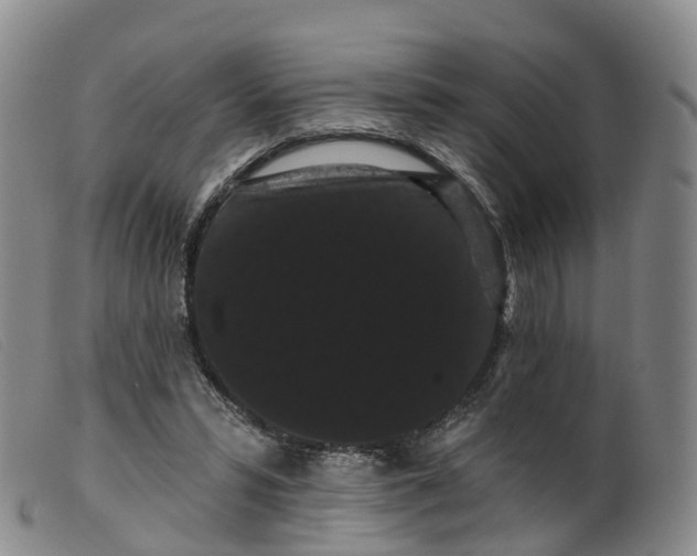 X0000099380399200805221811