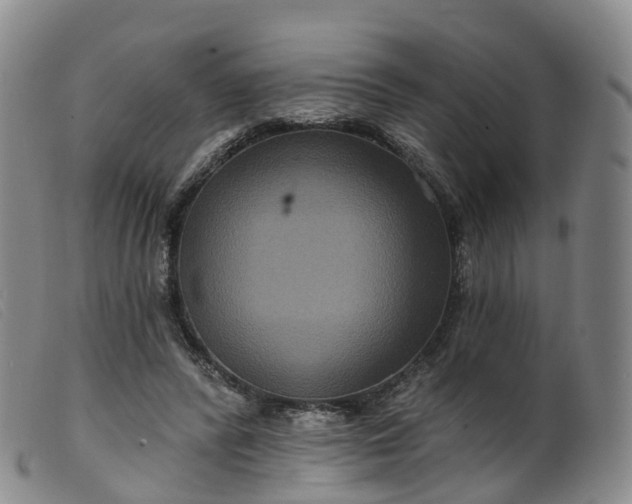 X0000099380400200805221811