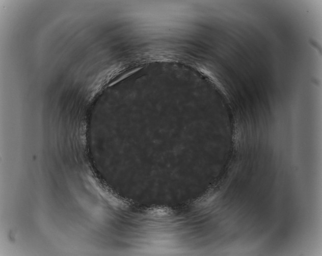 X0000099380402200805221811