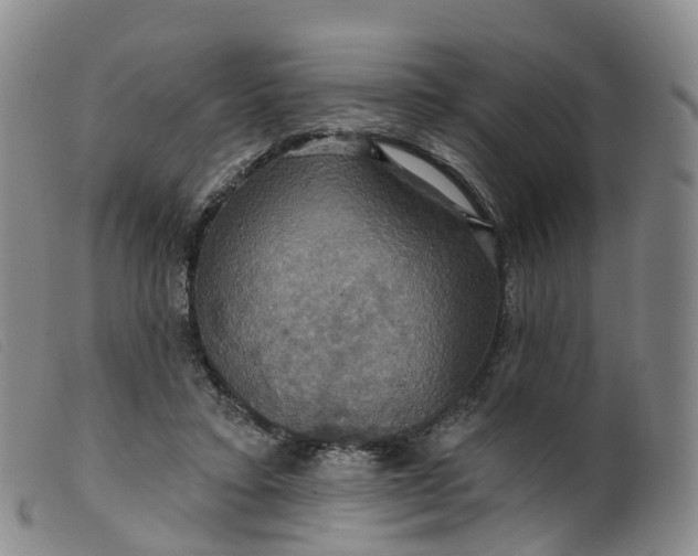 X0000099380403200805221811