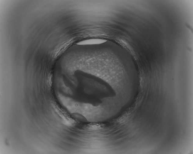 X0000099380405200805221811