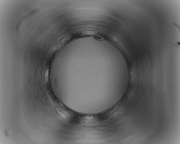 X0000099380406200805221811