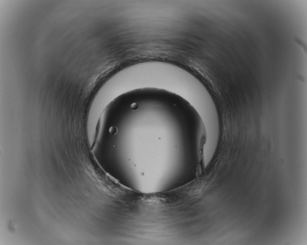 X0000099380407200805221811