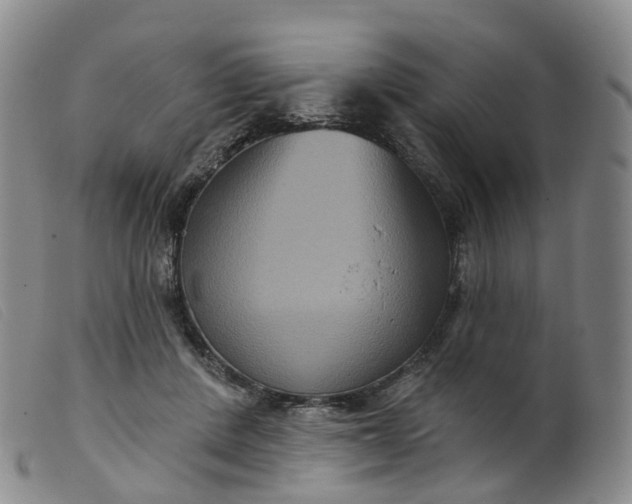 X0000099380408200805221811