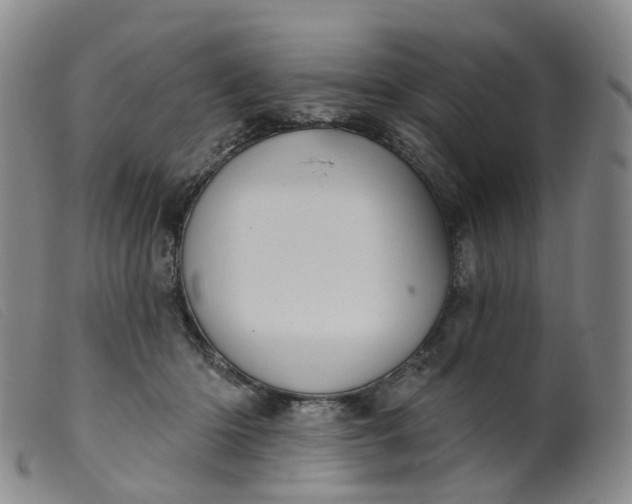 X0000099380414200805221811