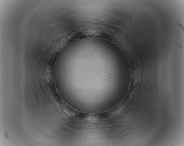 X0000099380416200805221811