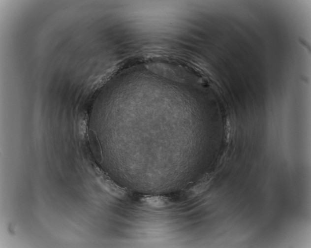 X0000099380417200805221811