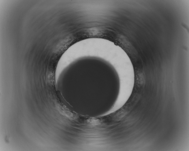 X0000099380419200805221811