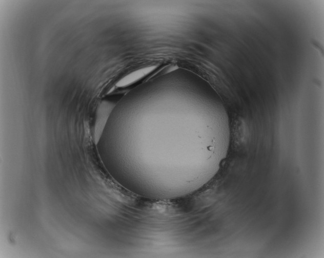 X0000099380420200805221811