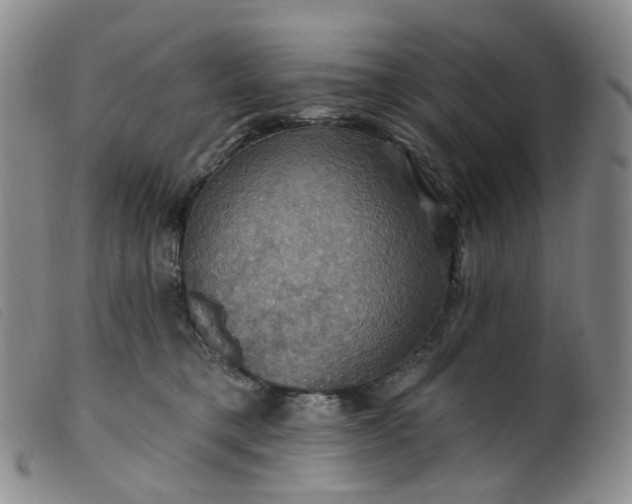 X0000099380421200805221811